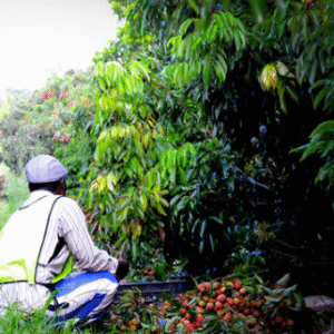 Screenshot 2025-04-30 183534